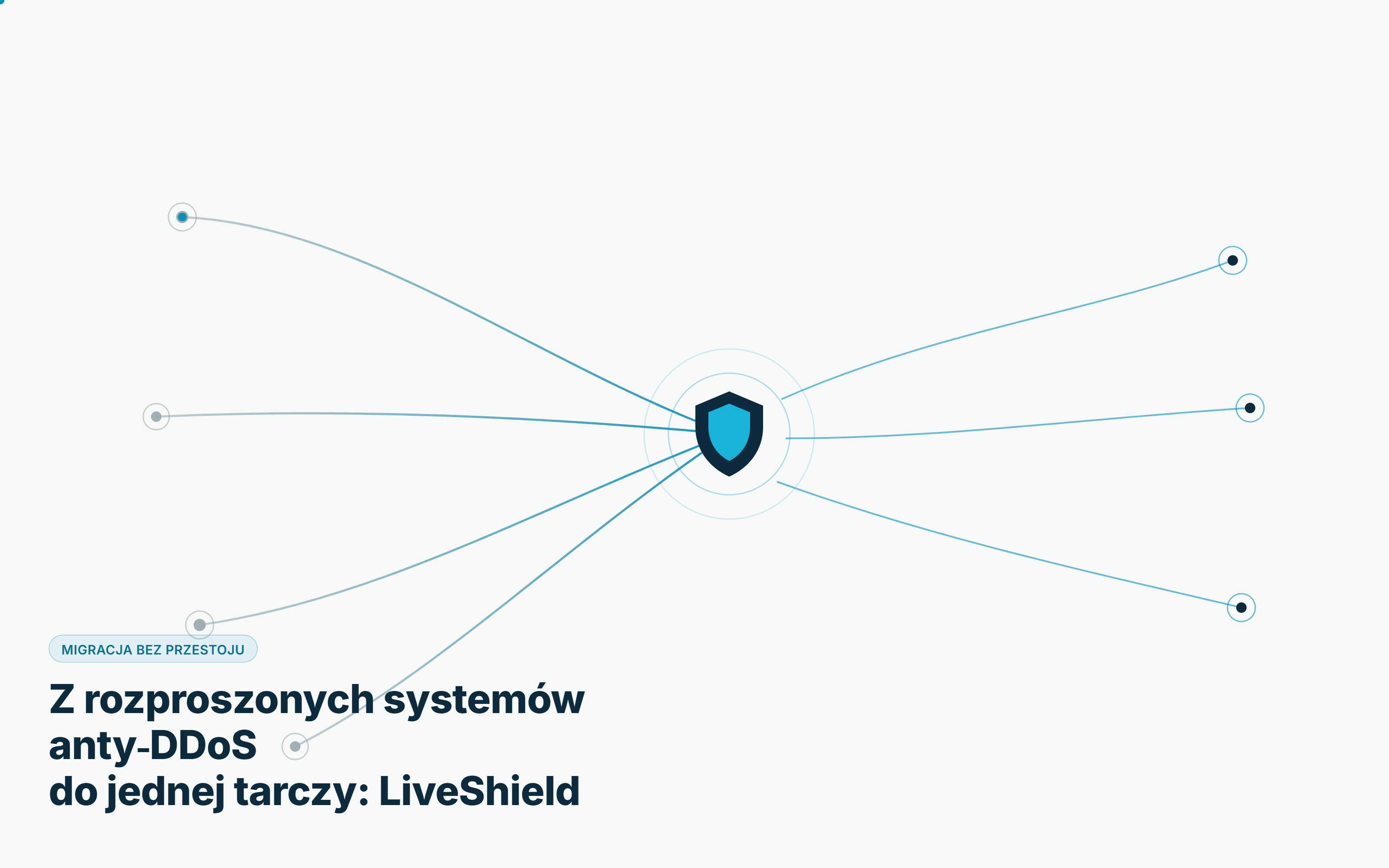 liveshield-migracja (1).png